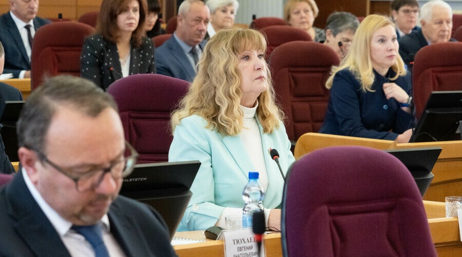 В Благовещенске запланировано строительство роддома и ремонт моста через Зею: депутаты в 1 чтении утвердили бюджет Амурской области